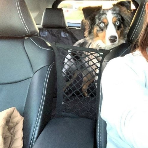 High Quality Premium Pet Car Net Petition - Imagen 2
