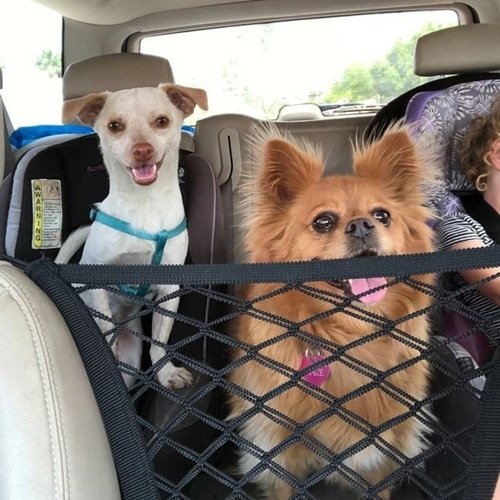 High Quality Premium Pet Car Net Petition - Imagen 3