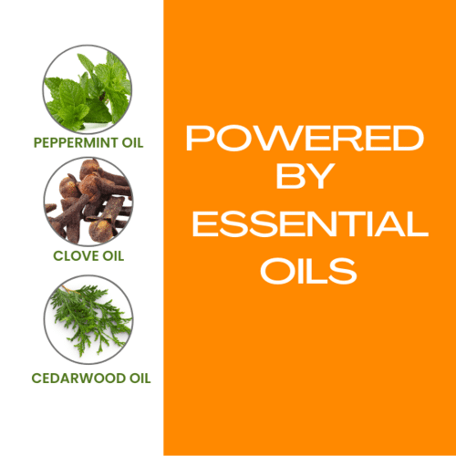 Flea and Tick Shampoo for Pets - Imagen 3