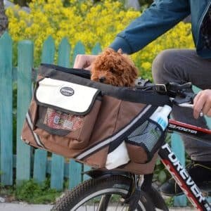 Bikepaws Pet Traveler: Removable Front Bicycle Carrier For Small Cats