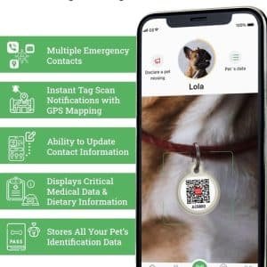 Dog Tags for Pets   Silicone QR Code Pet ID Tags for Dogs & Cats