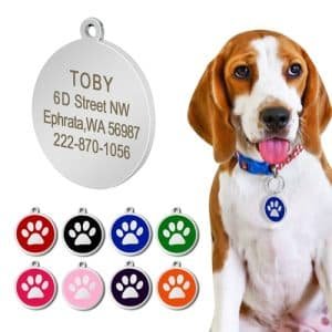 Stainless Steel Personalized Paw Dog ID Tag Dog