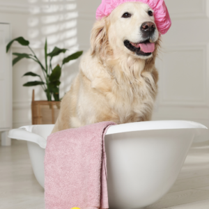 Bañeras y accesorios