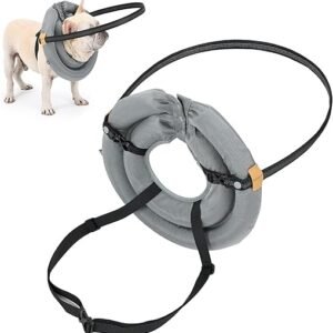 Dispositivo de guía para Perros Ciegos, Anillo de colisión para Mascotas, Collar de Parachoques Ajustable anticolisión para Mascotas Cómodo, Suministros para Mascotas (S)