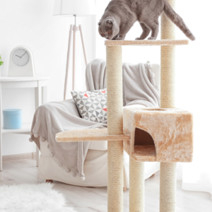 Rascadores para gatos