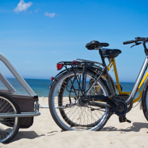 Remolques para bici