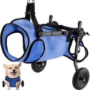 Silla de Ruedas Ajustable Ligera para Perros, Silla de Ruedas para Mascotas, Scooter de Movilidad para Mascotas con Discapacidad en las Patas Traseras para Ayudar a Caminar (M)