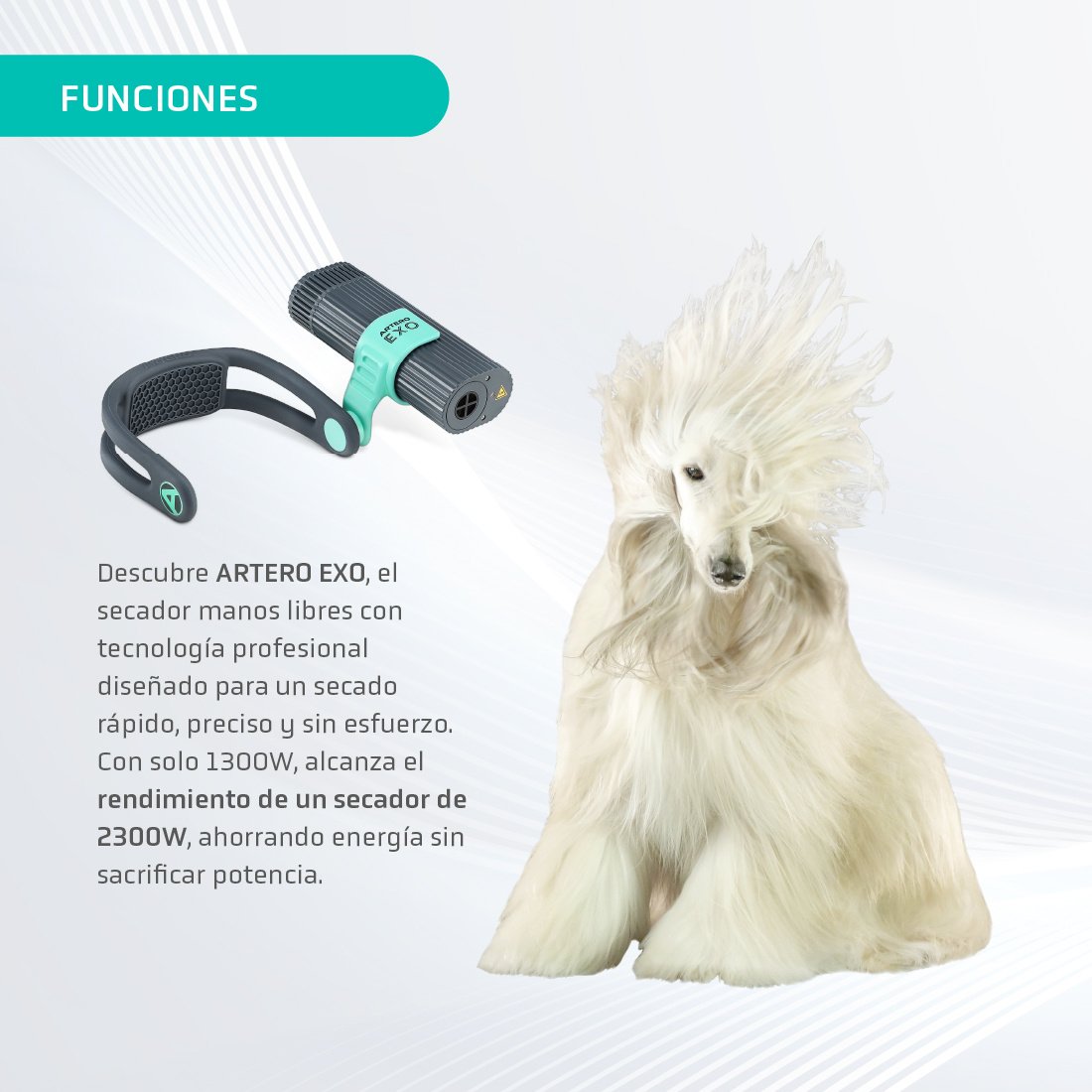 ARTERO EXO Secador Profesional Manos Libres para Perros 1200 W - Imagen 4