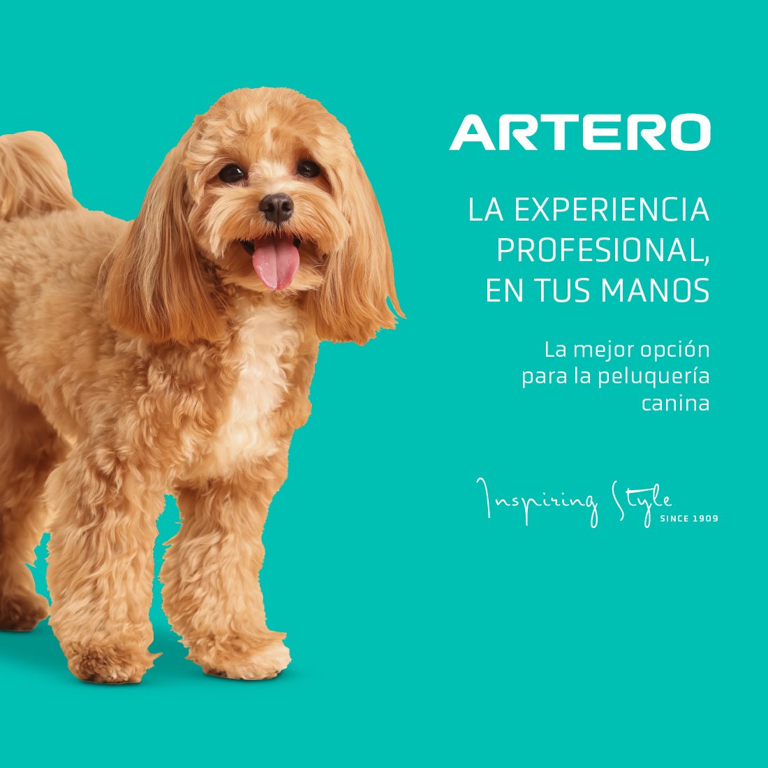 ARTERO EXO Secador Profesional Manos Libres para Perros 1200 W - Imagen 7